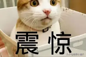 老外说“in the doghouse”是什么意思？总不能是“在狗窝里”吧图片