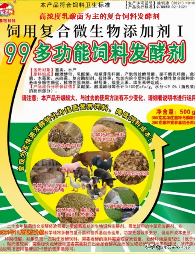 乳酸菌及其发酵饲料在动物生产中的应用效果表明品质稳定适口性好