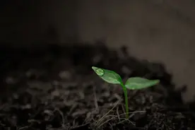 日本“拉野屎”大师 已坚持了45年图片