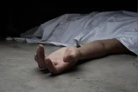 澳洲8旬老太被心爱宠物猫抓伤，小猫舔舔伤口，老人昏迷9天丧命图片