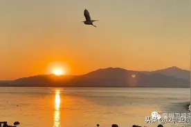 从2020到2021，祈盼世界如你所愿 | 锐视角图片