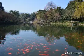 毛主席即兴为柳亚子写下一首吟答诗，大气磅礴，发人深省图片