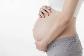 从“公鼠怀孕”联想到“男人怀孕”，两者究竟差了有多远？图片