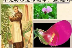 一对中国夫妻生下非洲宝宝，亲子鉴定后，丈夫却“傻眼”了！图片