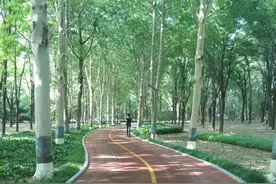 有人问，这三种治疗前列腺增生常见的中成药哪个最好？图片