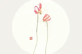 那些你看不懂的昵称，别有用意图片