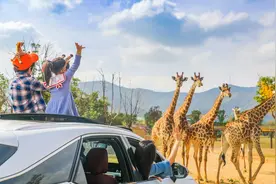 湖州太湖动物主题酒店开业，耗资300亿的遛娃天堂，网友：安排图片