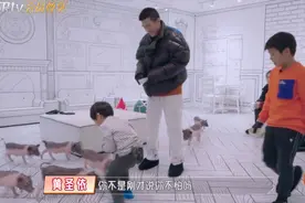 杨子带安迪遛猪，只想儿子做个好人，黄圣依：有钱要多给儿子投资图片