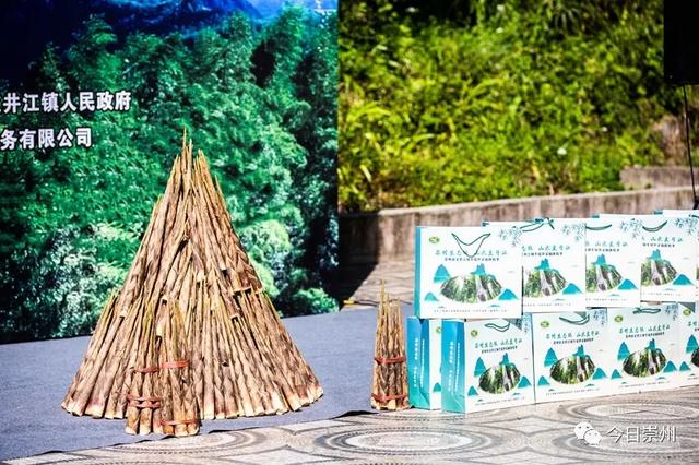 上山尝鲜去！第九届牛尾笋采摘体验季启动