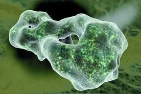 今天我们来认识一下地球上最稀少的元素——砹元素图片