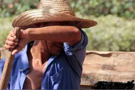 2021年城市有四个岗位缺人！农民外出打工，不妨多瞅瞅图片