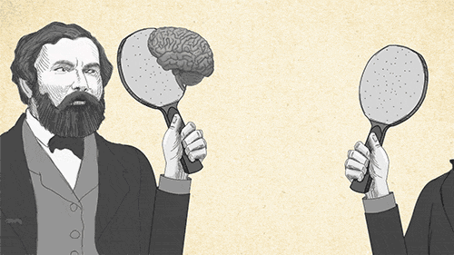 史上最全的高中生物知识点，一定要看