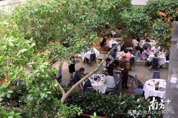 三世源即食鱼胶 2026年即食鱼胶多少一盒