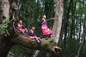 彝族祭龙 敬畏的赞歌图片