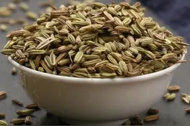 中药古今研究：小茴香图片
