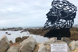 这座小镇被誉为大白鲨小镇，水里常年大白鲨聚集，勇敢者的旅行地图片