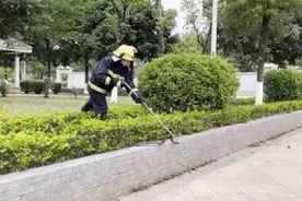 好危险！广东一小学门口惊现剧毒银环蛇！毒性是眼镜王蛇的10倍图片