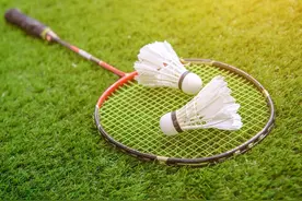 质对你说 | 羽毛球拍图片