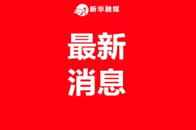 定了！7类人将不能担任村干部图片