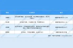 2020年中国IT运维管理行业市场现状及发展前景研究报告（简版）图片
