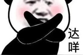 表情包 | 熊猫达咩图片