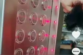 不用摸就能按电梯，贵州大学生这个发明很赞！据说还可防“熊孩子”图片