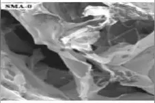 甲基丙烯酸钠修饰光交联海藻酸盐水凝胶支架的制备和表征图片
