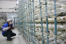 新材料产业153页深度研究报告：七大方向全面梳理（上篇）图片