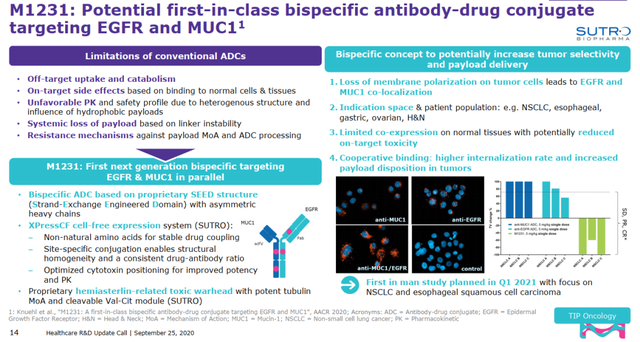 双抗ADC、突破性疗法：非天然氨基酸抗体偶联技术解析
