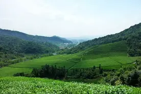 山幽水静、地铁直达，这里只差一座商业综合体图片