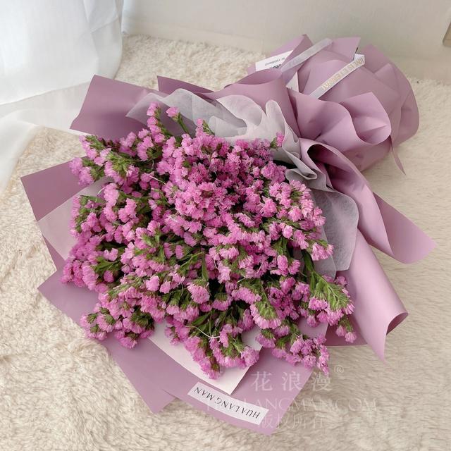 (勿忘我鲜花图片) - 冷求网