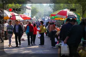 5万元的投资，在农村乡镇上可以做哪些比较赚钱的小生意？这几种图片