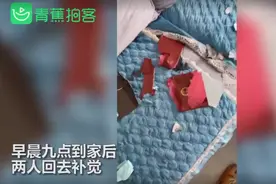 5·20刚领结婚证，回家后户口本就被狗狗撕烂了图片