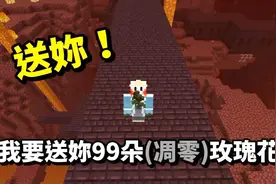 我的世界：凋零花的获得方式，用这个做陷阱太厉害了！