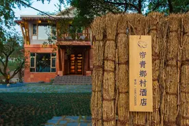 不出国睡安吉东南亚风民宿，独栋Villa泳池开启野奢度假丨帘青图片