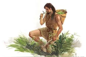 诚壹聊文化：和你一起深入解析“茶”字的由来图片