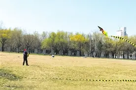 广场上不起眼的风筝线 稍有不慎就可能伤人图片