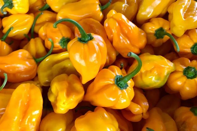 中国12大名酱，哪一款是你心目中的下饭酱王？