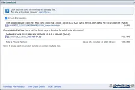 Oracle12C RAC PATCH安装p30354375图片