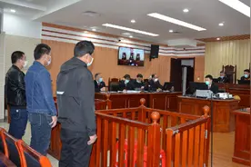 劝君莫打三春鸟 非法猎取173只八哥幼鸟 三被告人被判刑图片