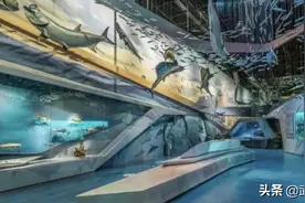 云逛展、开脑洞，博物馆还能这样“玩”图片