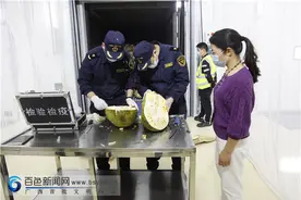 龙邦边民互市区首次进口越南菠萝蜜顺利通关图片