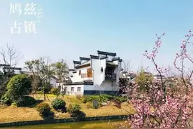 春光灿烂时，芜湖最新踏青地图请查收图片