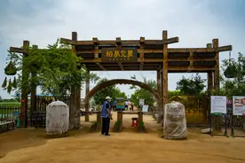 沈阳稻梦空间稻田画已展现在游人面前图片
