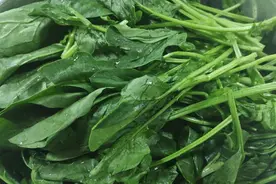 升级版菠菜炖鸡蛋，汤色雪白，味道鲜美，图片