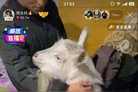 716雅儿现身宁夏卖房赔钱！辛巴夫妇秀恩爱！姚永纯千里见小辉图片