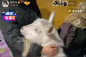 716雅儿现身宁夏卖房赔钱！辛巴夫妇秀恩爱！姚永纯千里见小辉图片