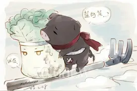 城里的好白菜，该不该被乡下的土猪啃？图片