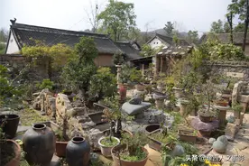 39岁河南小哥爱好特别，耗时20年收集石头，又用5年打造奇特花园图片