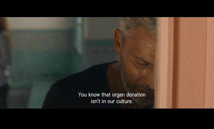 ��13����Ƭ������һ����Ӱ�ڣ������и���